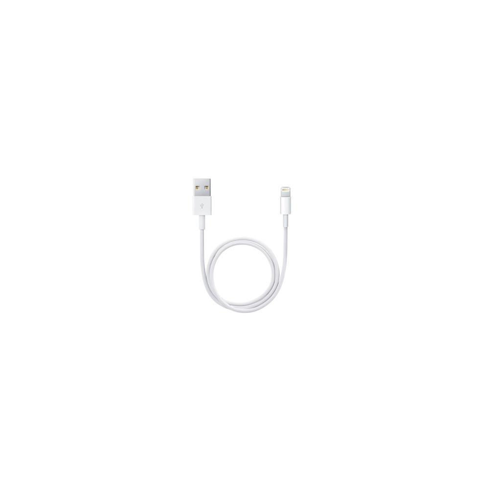 APLSY031697 APPLE Câble Lightning vers USB (0.5 m)