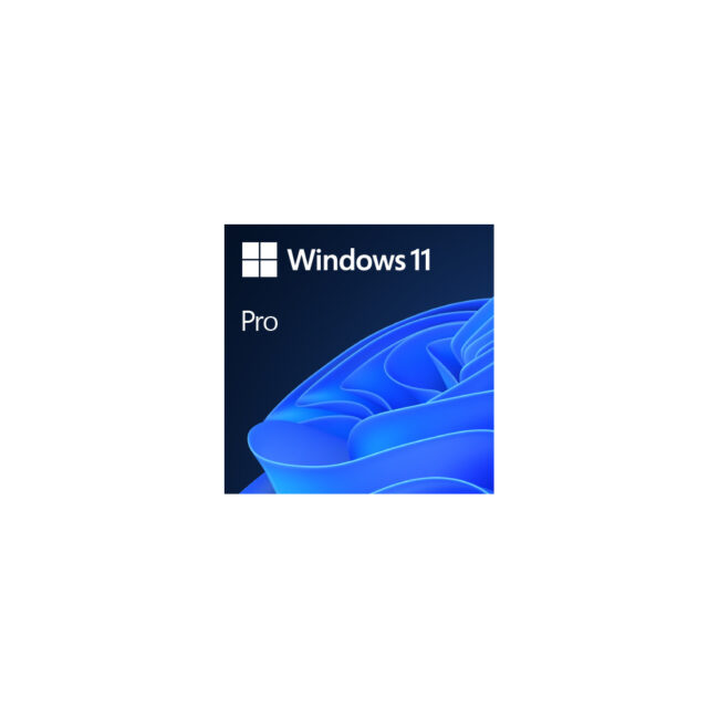 Microsoft Windows 11 Professionnel - DVD (OEM) - Français - Officiel