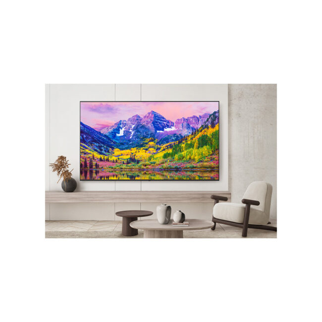 LG 65UK762H TV 65p Téléviseur hôtelier 4K UHD Pro:centric