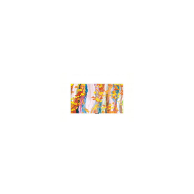 LG TV 65p OLED 3840x2160 UHD 4K Reconditionnée 1Mois Garantie